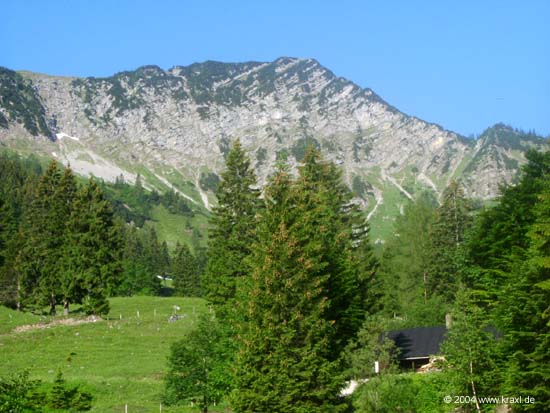 bruenn2-04-002