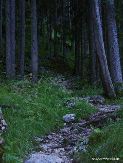 haid-stell04-003