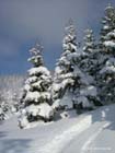 schoenalm05-015