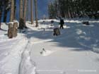 schoenalm05-017