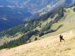 sonnwendjoch05-019