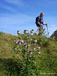 sonnwendjoch05-022