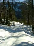 hochalm07-028