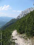 mittenwalder08-028