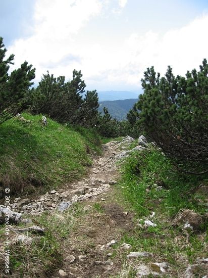 benediktenwand09-044