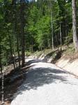 benediktenwand09-048
