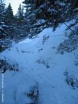 breitenstein09-018