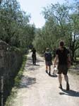 sallagoni10-002