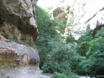 sallagoni10-019