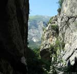 sallagoni10-020