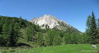 Galtjoch