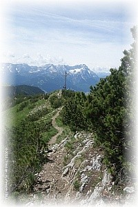 Gipfel Hoher Fricken mit Zugspitzblick