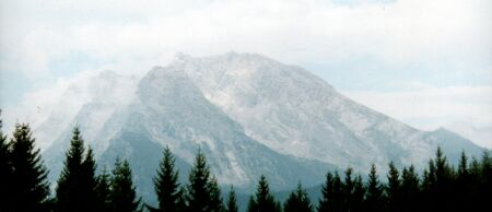 goell1