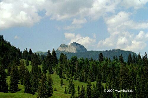 Ross und Buchstein Blick von der K�nigsalm 