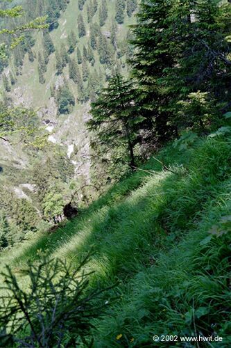 Abstieg von der K�nigsalm - Blick in den Sch�ttl�zgraben I