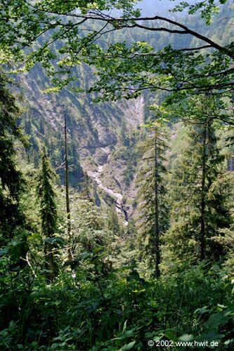 Abstieg von der K�nigsalm - Blick in den Sch�ttl�zgraben III