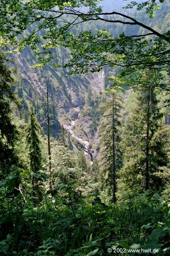 Abstieg von der K�nigsalm - Blick in den Sch�ttl�zgraben III