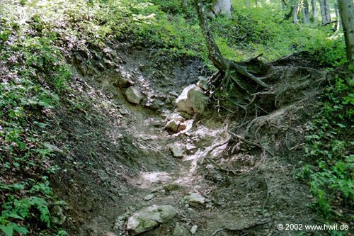 Der Bergpfad auf die K�nigsalm 