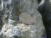 bruenn2-04-029