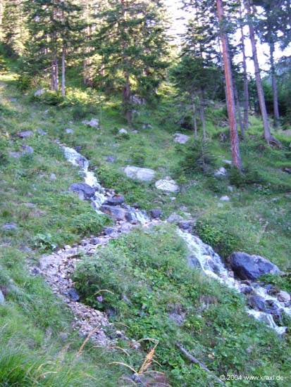 haid-stell04-004