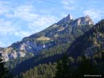 haid-stell04-001