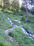 haid-stell04-004