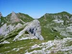 haid-stell04-025