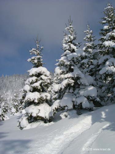 schoenalm05-015