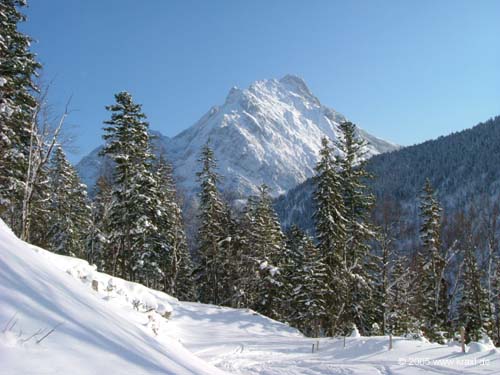schoenalm05-019