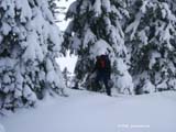 unnuetz05-017