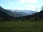 DSCF0704