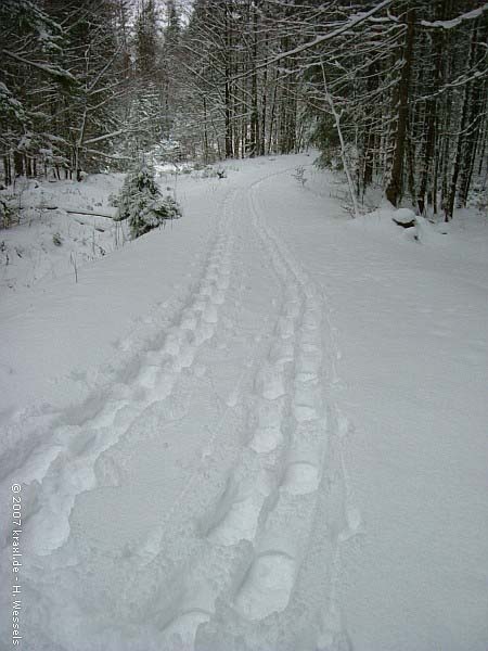 hochalm07-002