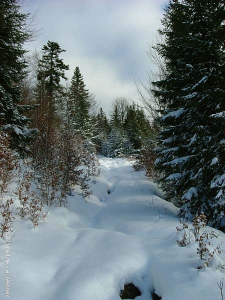 hochalm07-004