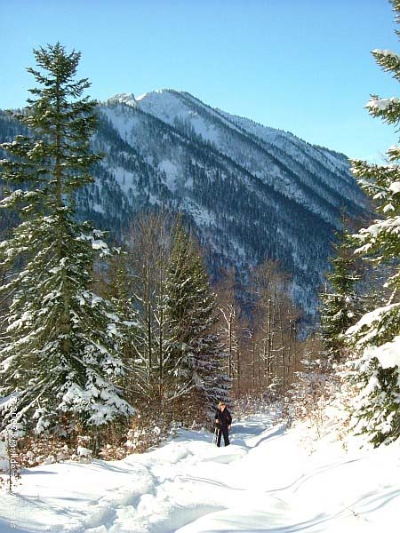 hochalm07-006