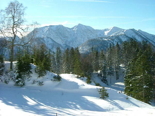 hochalm07-017