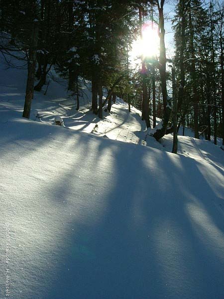 hochalm07-025