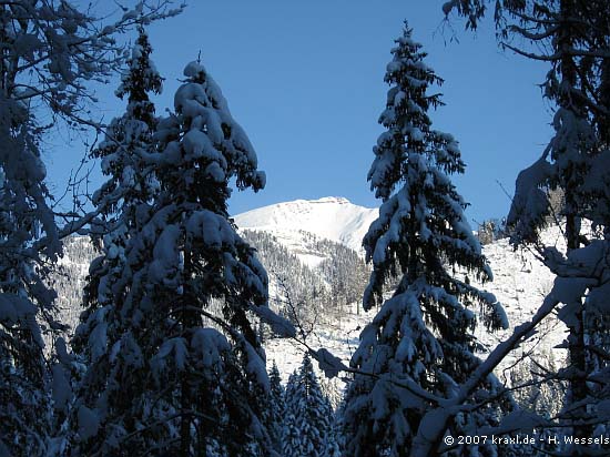 hochalplkopf07-002