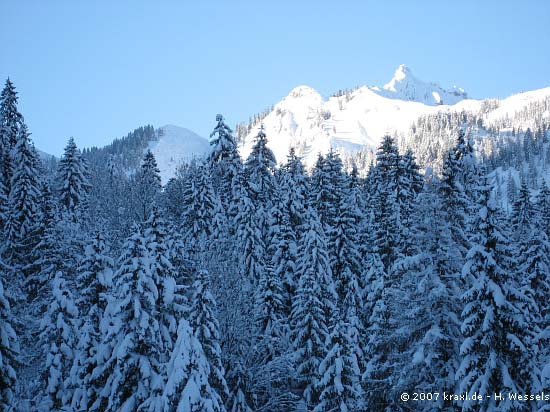 hochalplkopf07-003