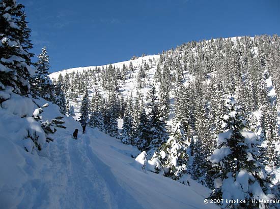 hochalplkopf07-005