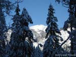 hochalplkopf07-002