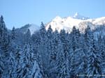 hochalplkopf07-003