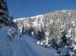 hochalplkopf07-005