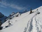 hochalplkopf07-006b