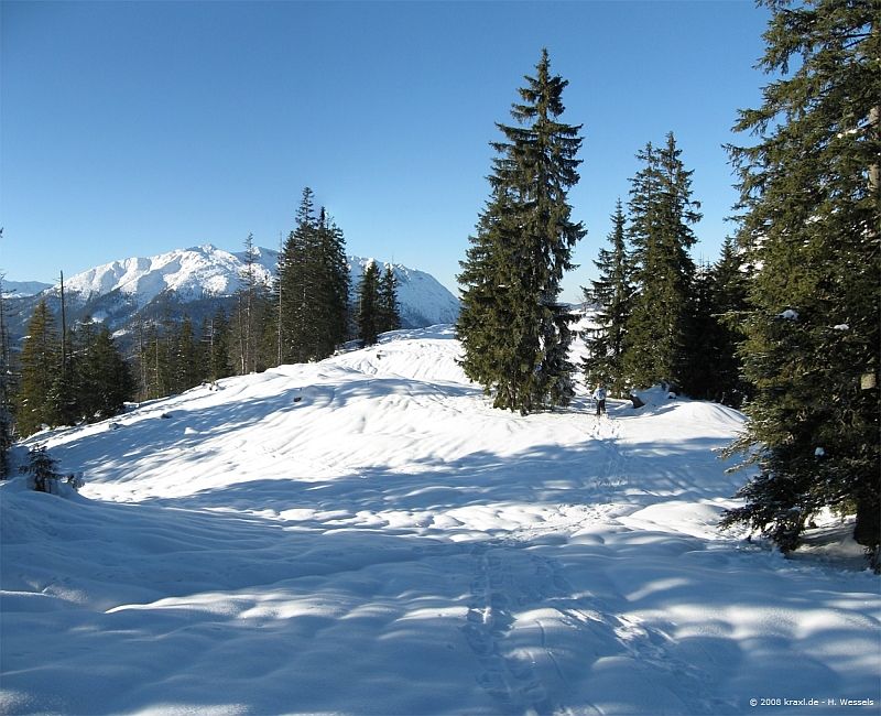 ameiskogel08-038