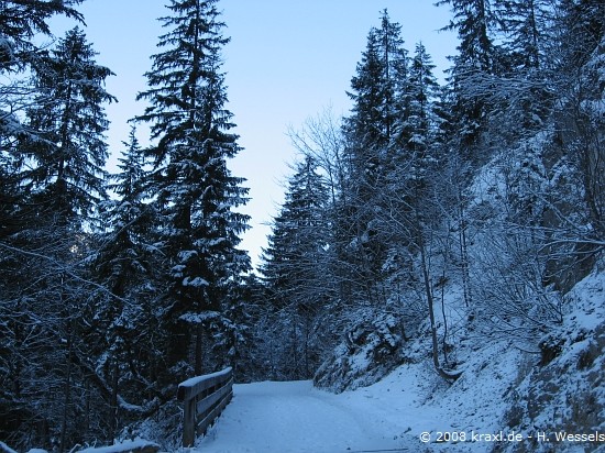 bodenschneidhausl08-003