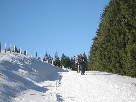 fockenstein08-002