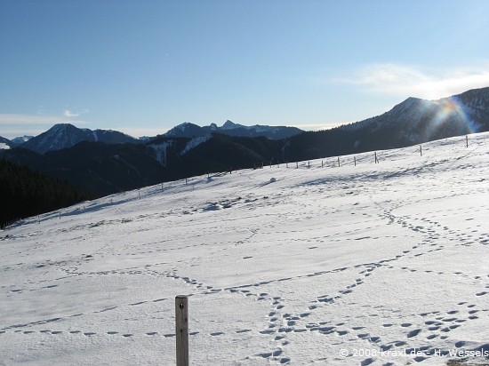 fockenstein08-004