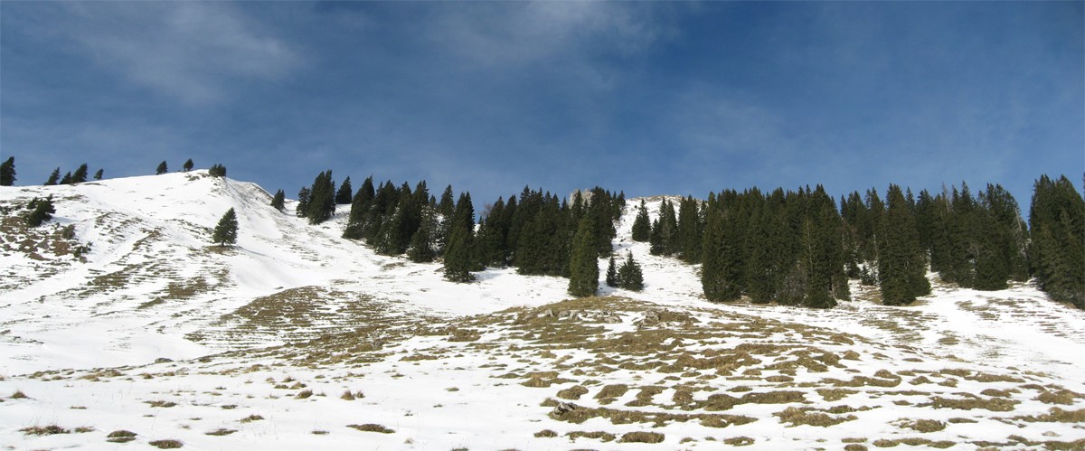 fockenstein08-005