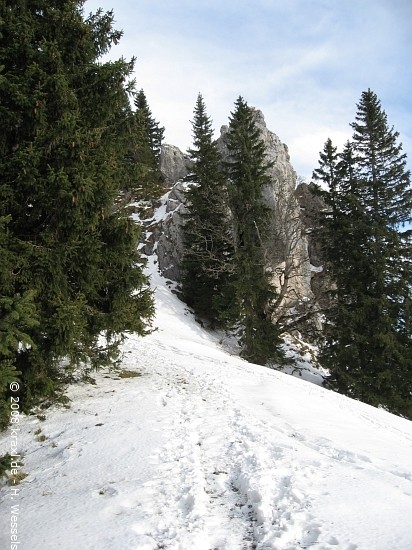 fockenstein08-013