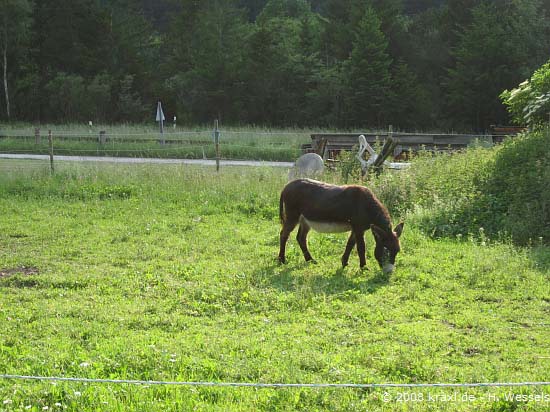 mittenwalder08-029